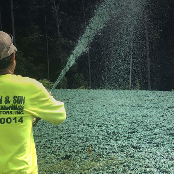 Residential Hydroseeding
